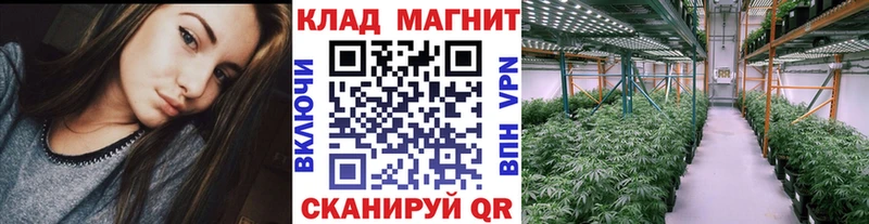 Какие есть наркотики Заинск ГАШИШ  Псилоцибиновые грибы  Амфетамин  Марихуана  МЕФ  COCAIN 