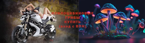 героин Алексин
