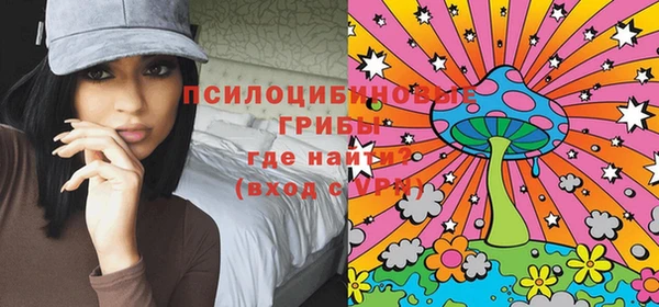 героин Алексин