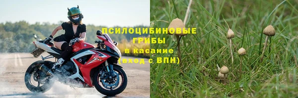 кокс Алзамай