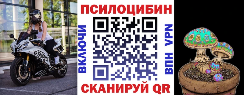 Галлюциногенные грибы прущие грибы  купить закладку  Заинск 
