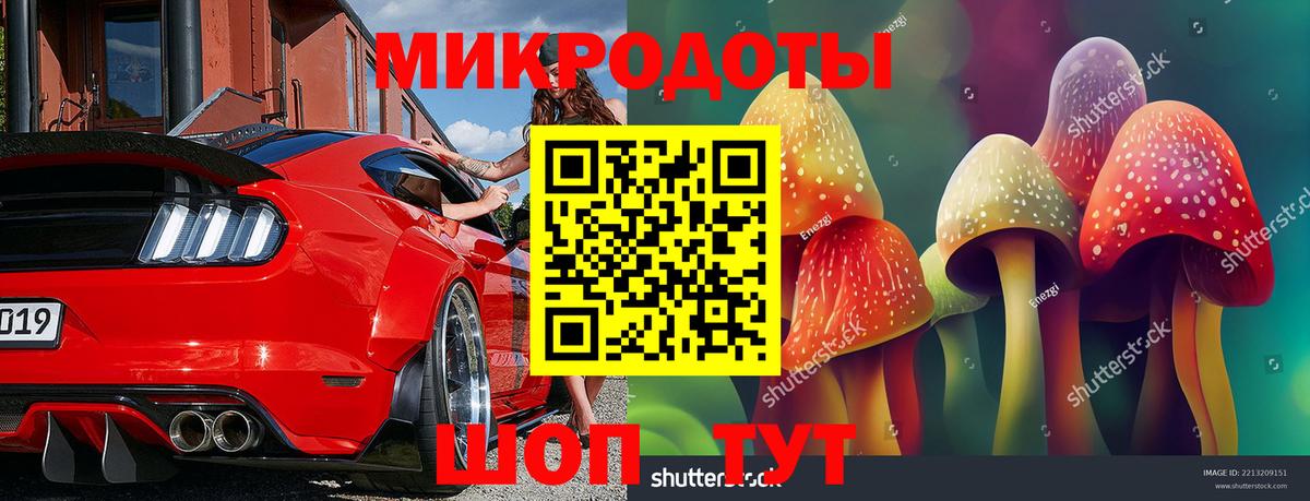 Галлюциногенные грибы Psilocybe  Вход с VPN  Заинск  Галлюциногенные грибы Magic Shrooms 
